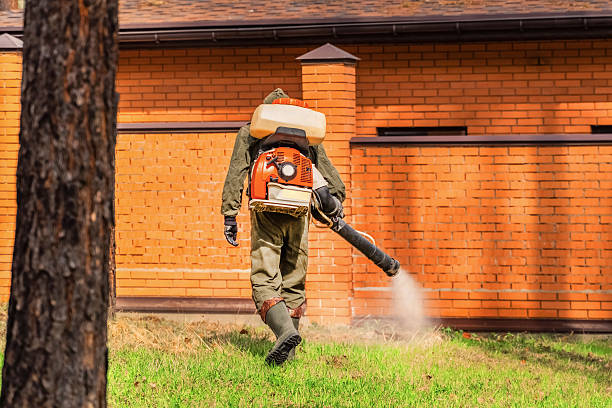 Trusted Rodent Control service in Norridge, IL - Nex Pest Control